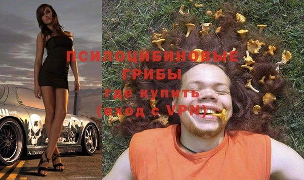 дурь Дмитровск