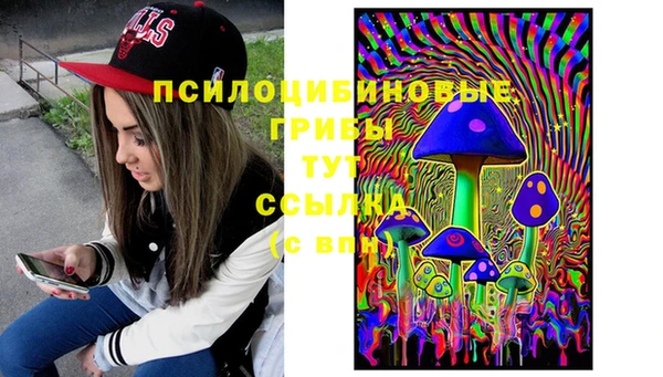 трава Дмитров